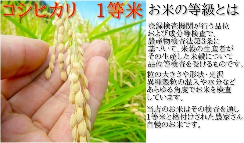 新米 福島県産 コシヒカリ 平成29年産 10kg