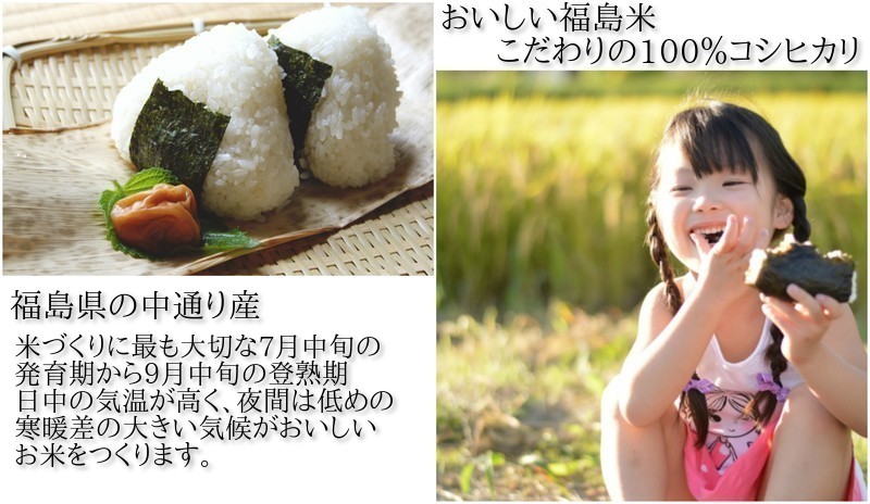 新米 福島県産 コシヒカリ 平成29年産 精米 5kg×2袋