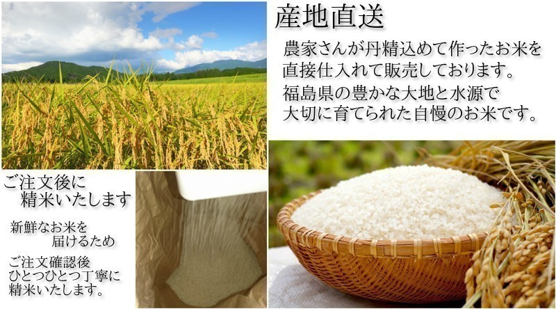 新米 福島県産 コシヒカリ 平成29年産 精米 5kg×2袋