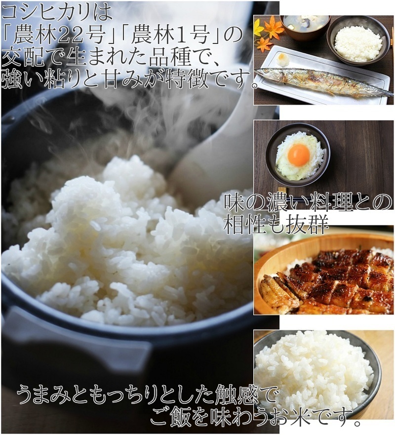 新米 福島県産 コシヒカリ 平成29年産 精米 5kg×2袋