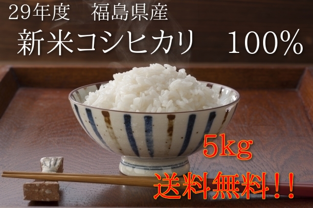 新米 福島県産 コシヒカリ 平成29年産 精米 5kg×2袋